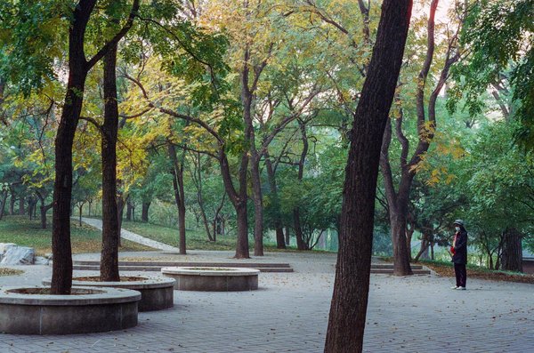 Les avantages et inconvénients des cliniques privées