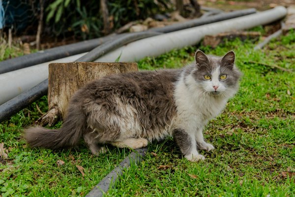Déconstruire les mythes sur le yoga
